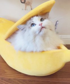 Banana Cat Bed